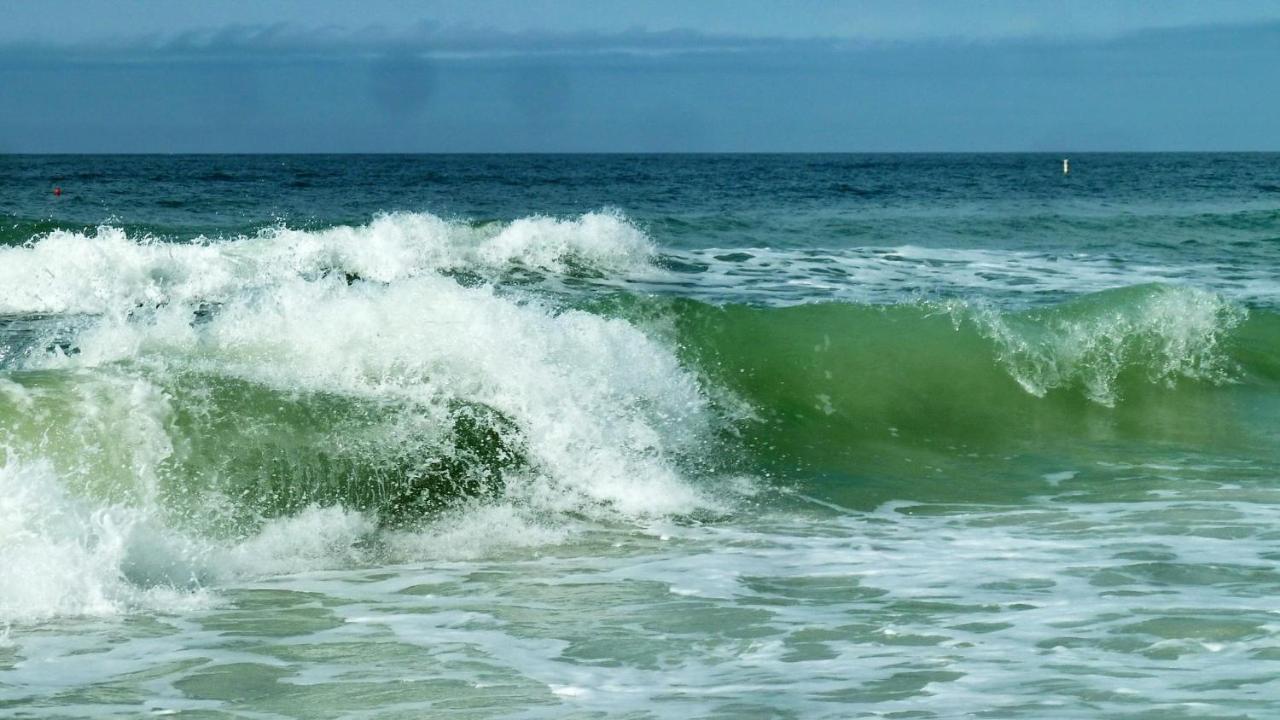 Sea Shell 24 Βίλα Clearwater Beach Εξωτερικό φωτογραφία