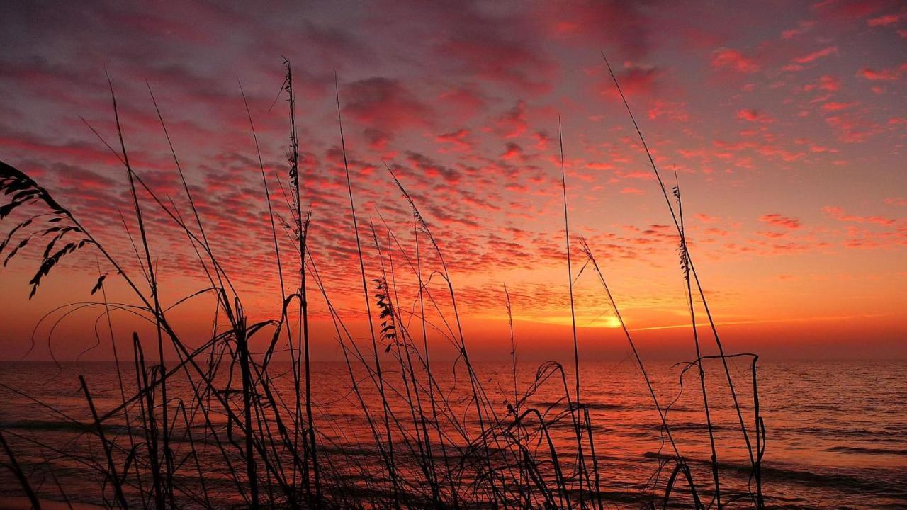 Sea Shell 24 Βίλα Clearwater Beach Εξωτερικό φωτογραφία